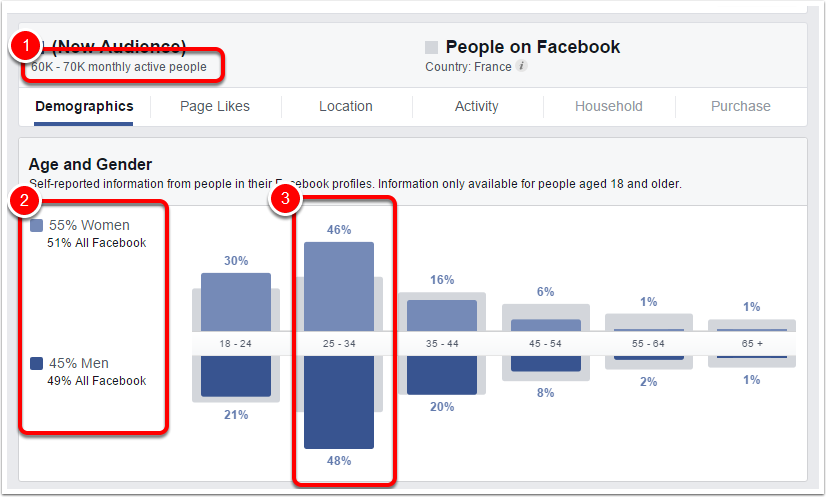 facebook audience insight webmarketing & Com 1