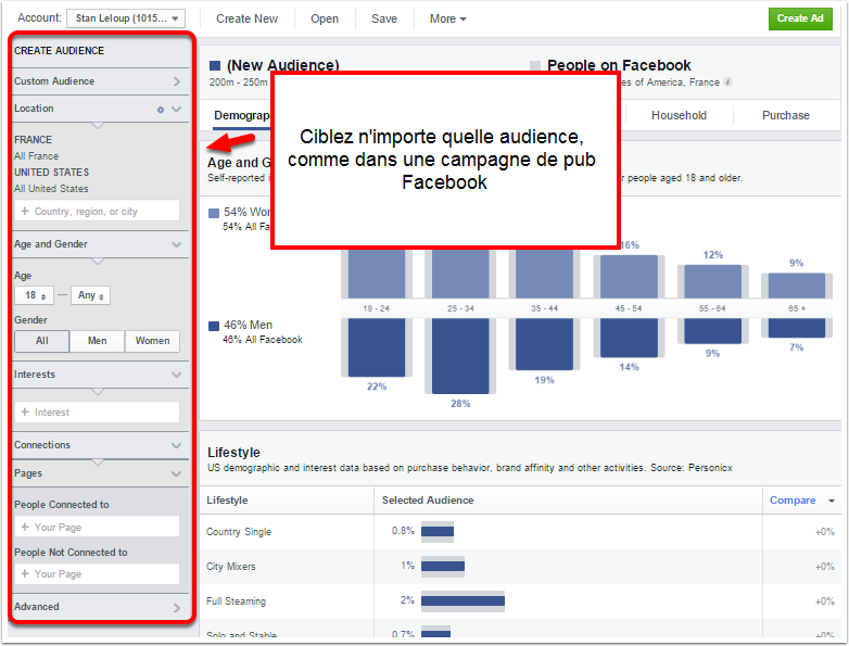 ciblage FB audience insight